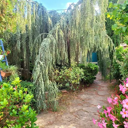 Ecrin De Verdure De 45 M2 - A 400m - Jardin, Parking Prive, Wifi ル・ブリュスク